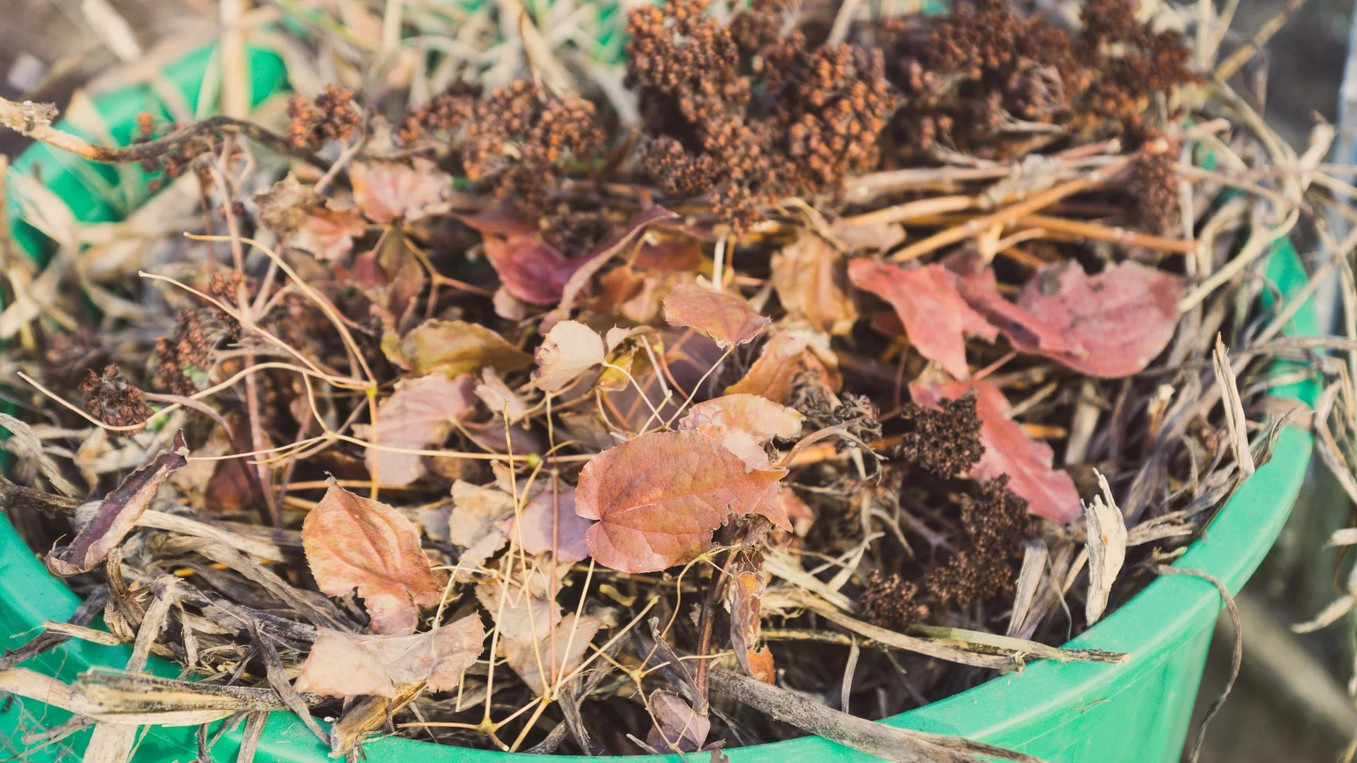 Prepare Your Lawn & Landscape for the Winter With These Fall Maintenance Tasks!