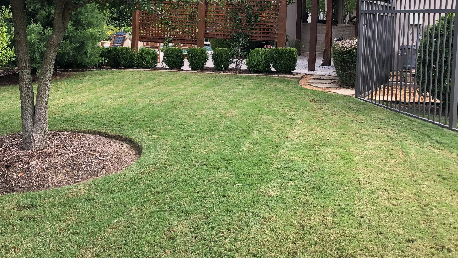 Should You Scalp Your Lawn in Texas?