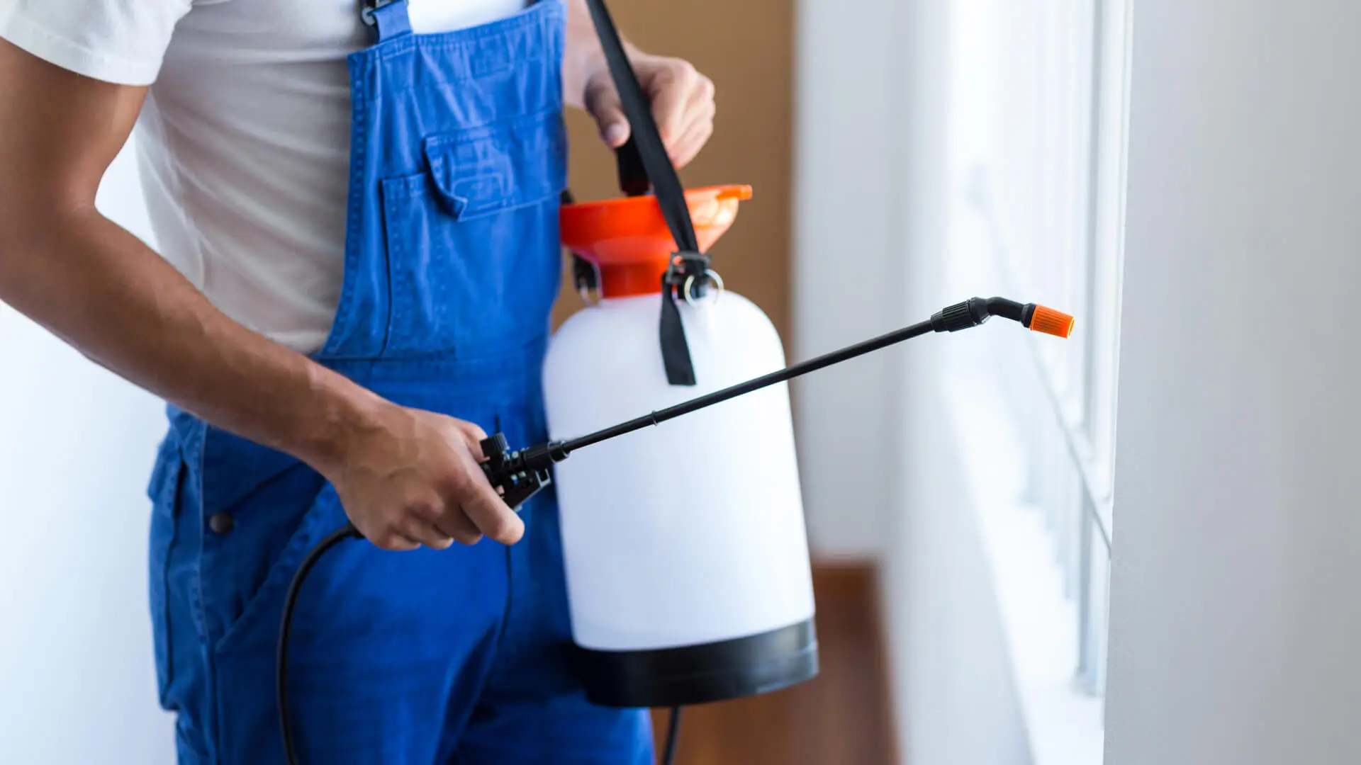 3 Organic Pest Control Wylie, TX Tips to Get Rid of Unwanted Guests