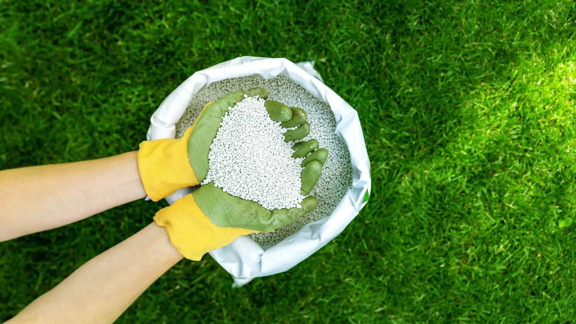 3 Tips for Choosing the Right Plano TX Lawn Care Program