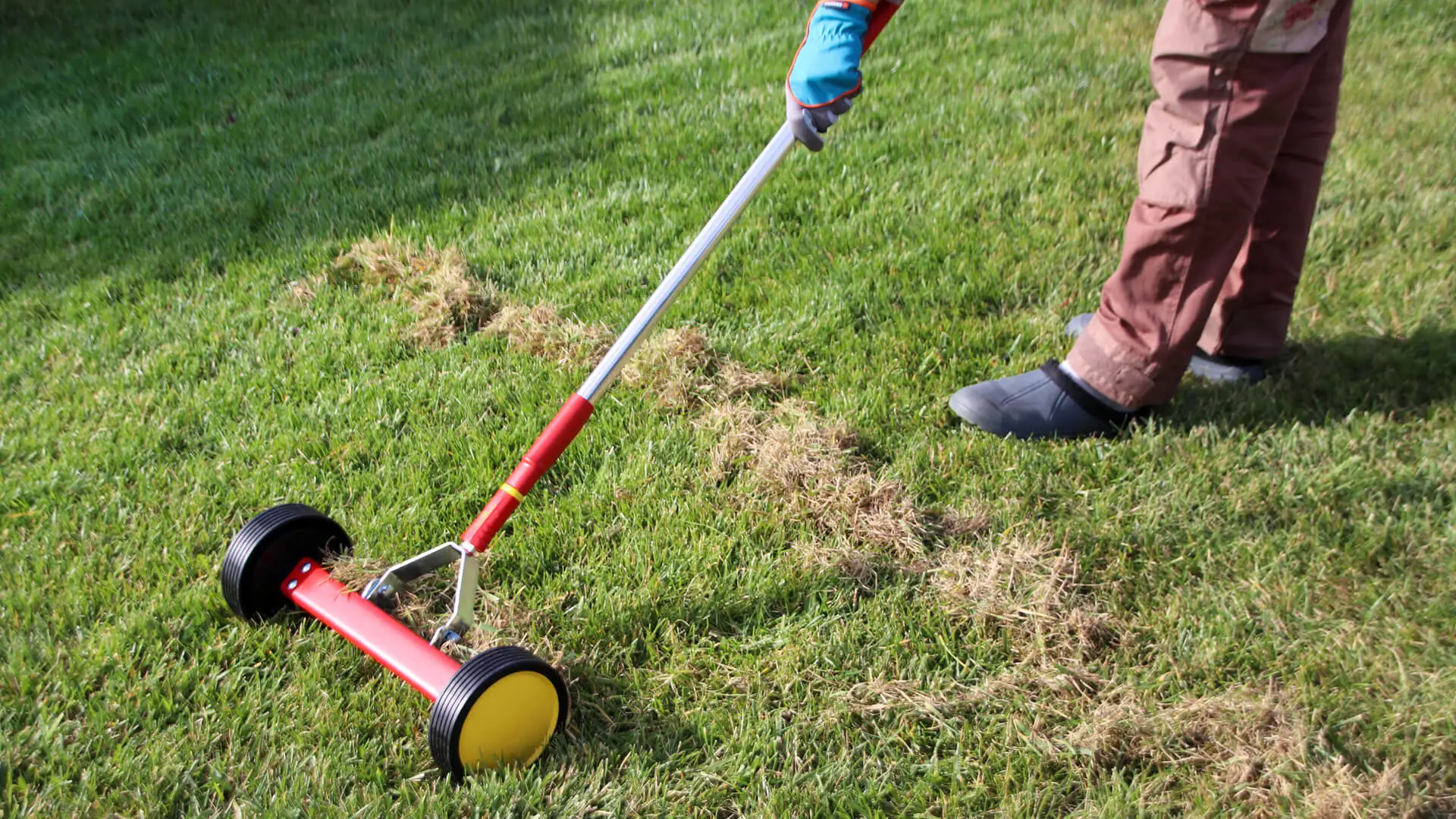 7 Basic Lawn Maintenance Allen, TX Principles to Employ to Have the Best Lawn in Town