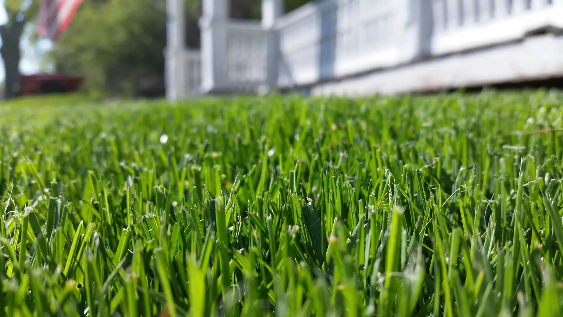 Elementary Solutions for Lawn Care Frisco, TX Property Owners Should Know