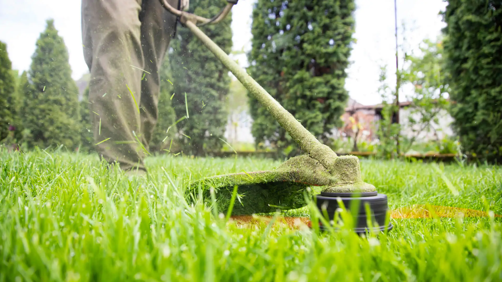 How to Know You’ve Hired Experts in Lawn Care – Murphy TX Experts Share Their Best Mowing Practices