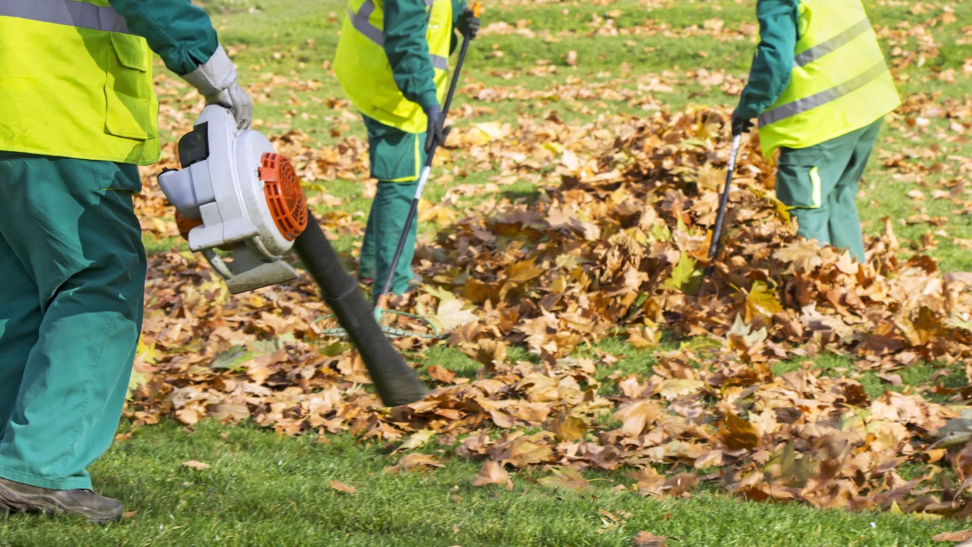 Keep Your Grass in Good Health - Remove the Leaf Piles on Your Lawn This Fall