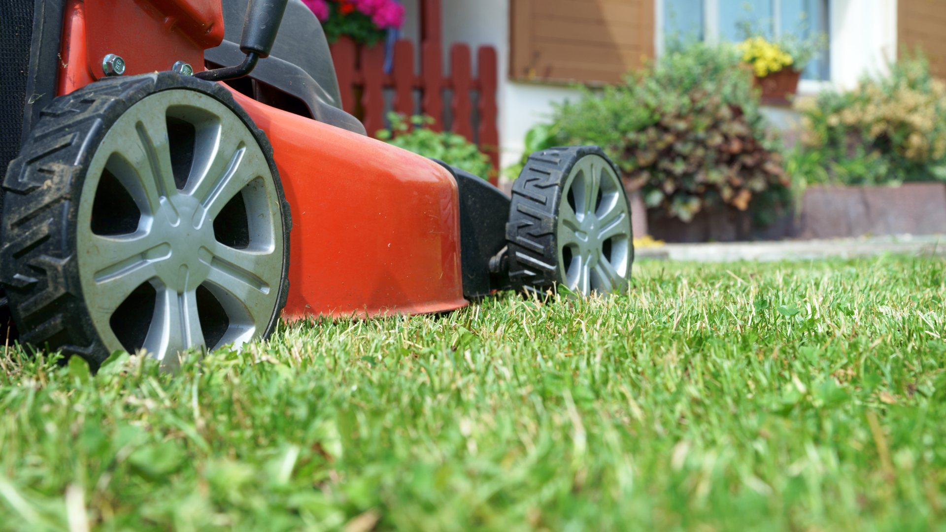 Close up photo of mower in lawn for mowing service in McKinney, TX.