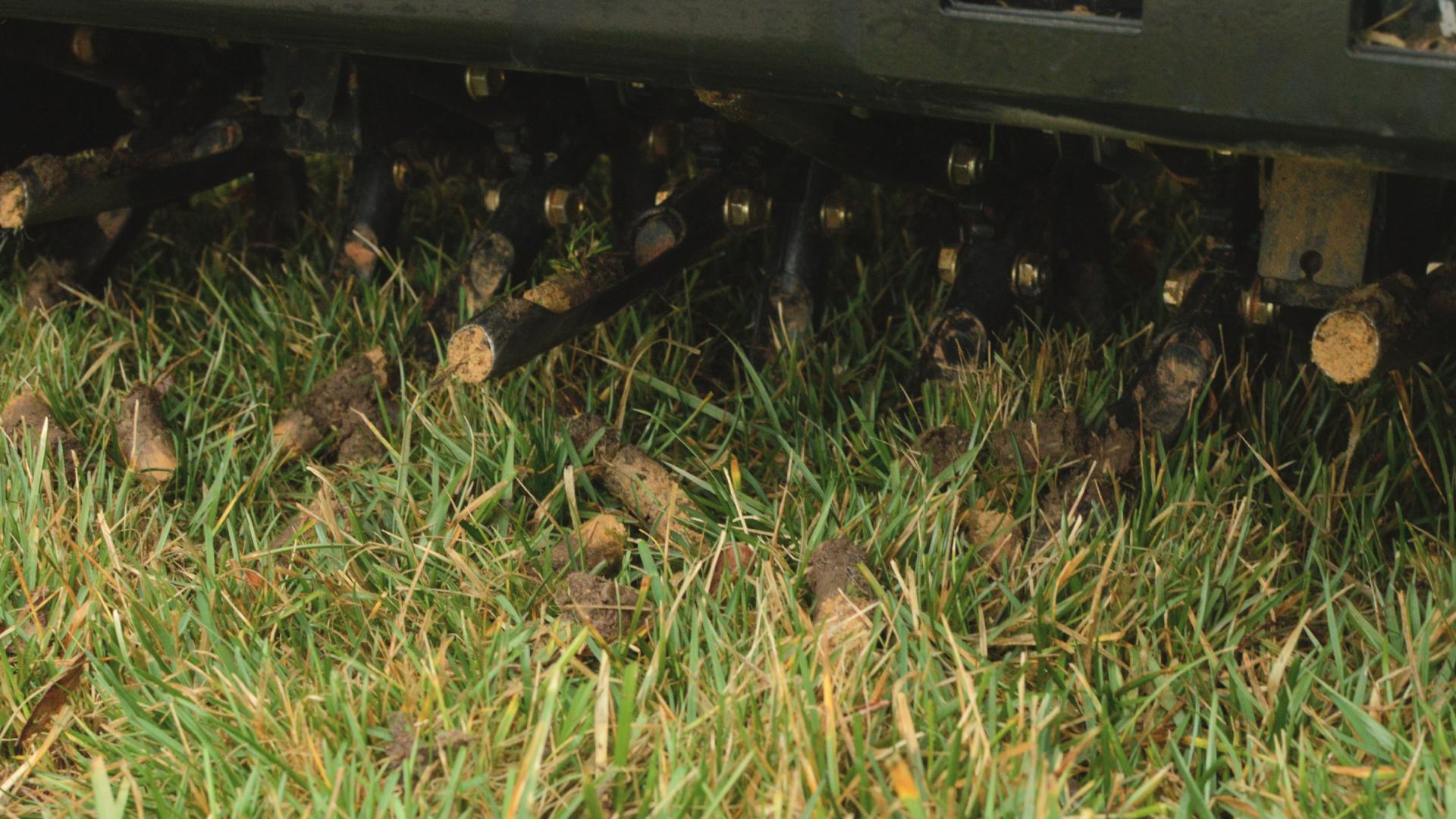 Here's What Core Aeration Will Do for Your Lawn in the Spring