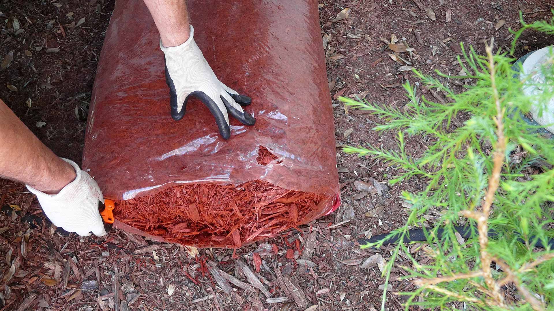 Gloved professional preparing red mulch for installation in Plano, TX. 