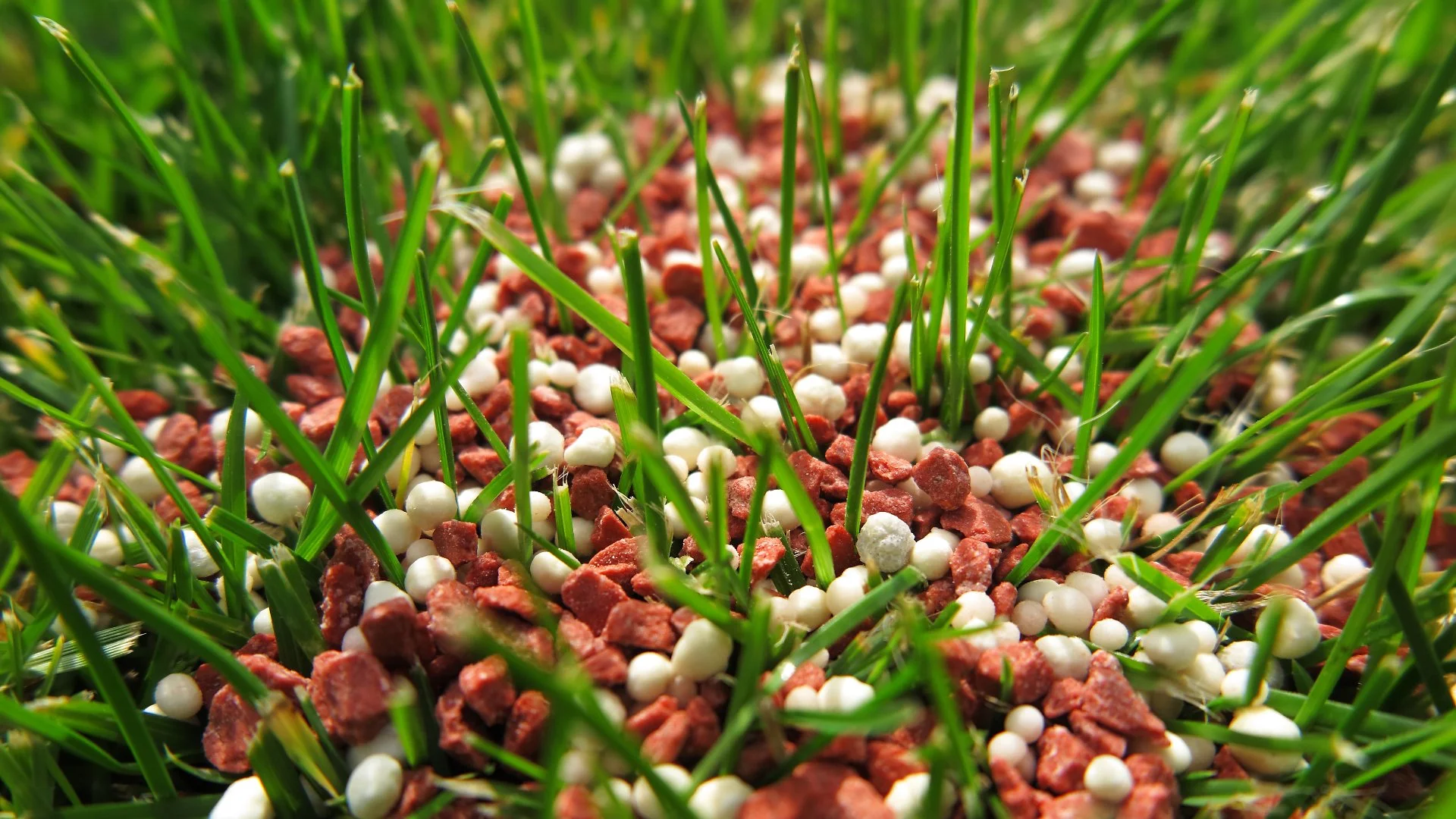 Make Sure Your Spring Fertilization Treatment Contains a Lot of Nitrogen!
