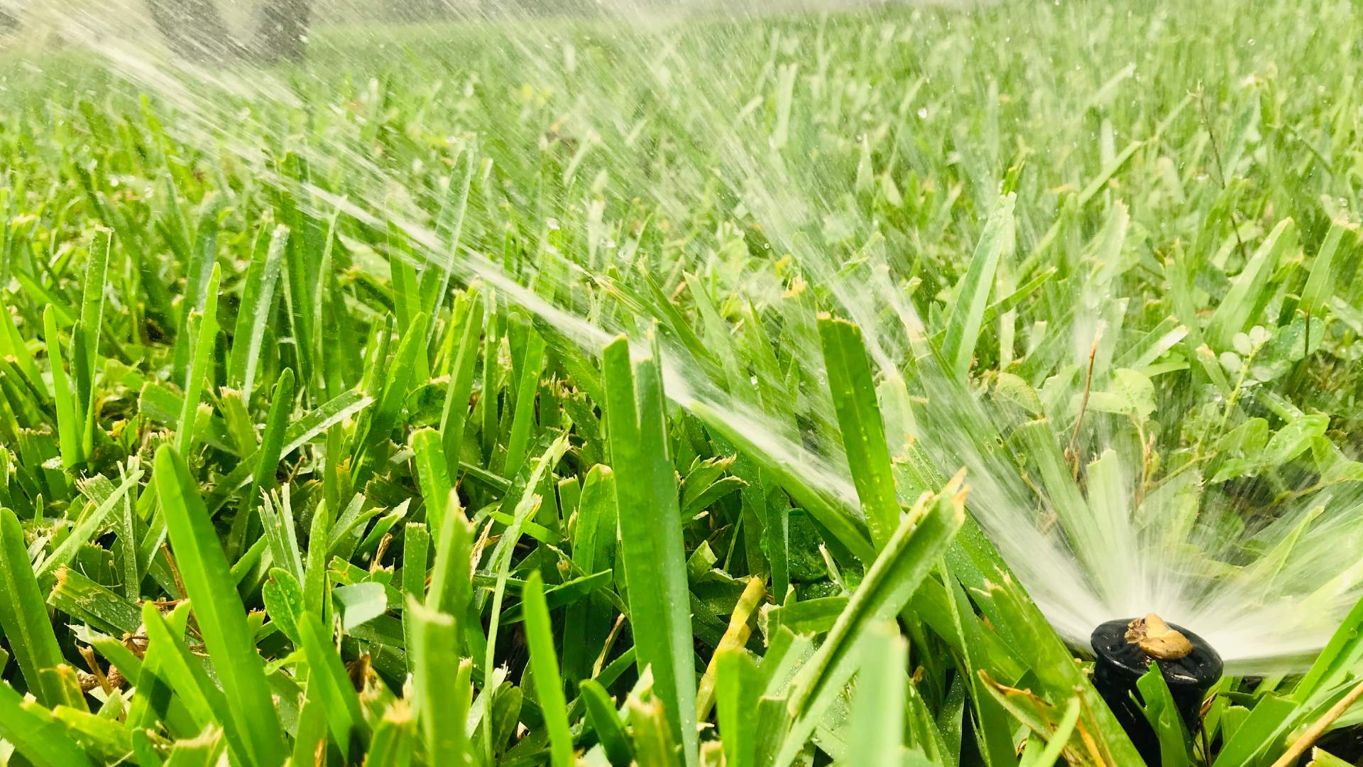 The Best Thing You Can Do for Your Irrigation System This Spring