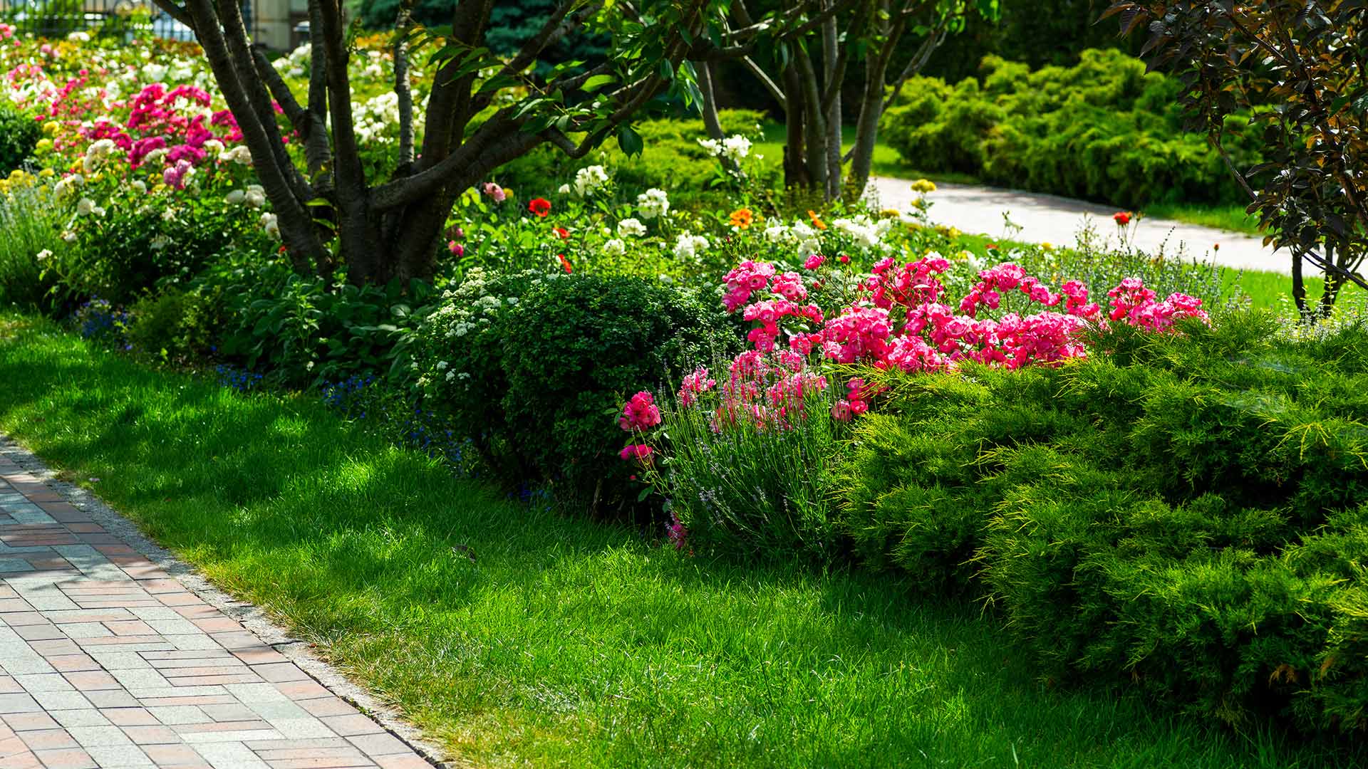 3 Ways to Make Your Landscape Beds the Envy of Your Neighborhood