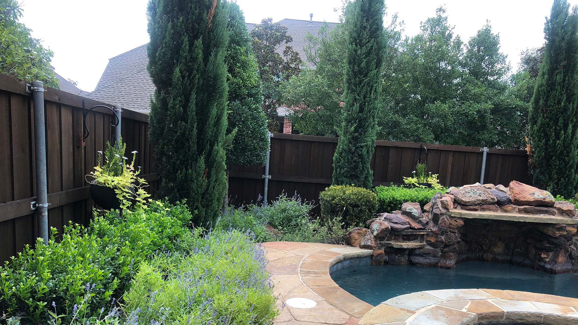Custom landscaping by our client's pool in Frisco, TX. 