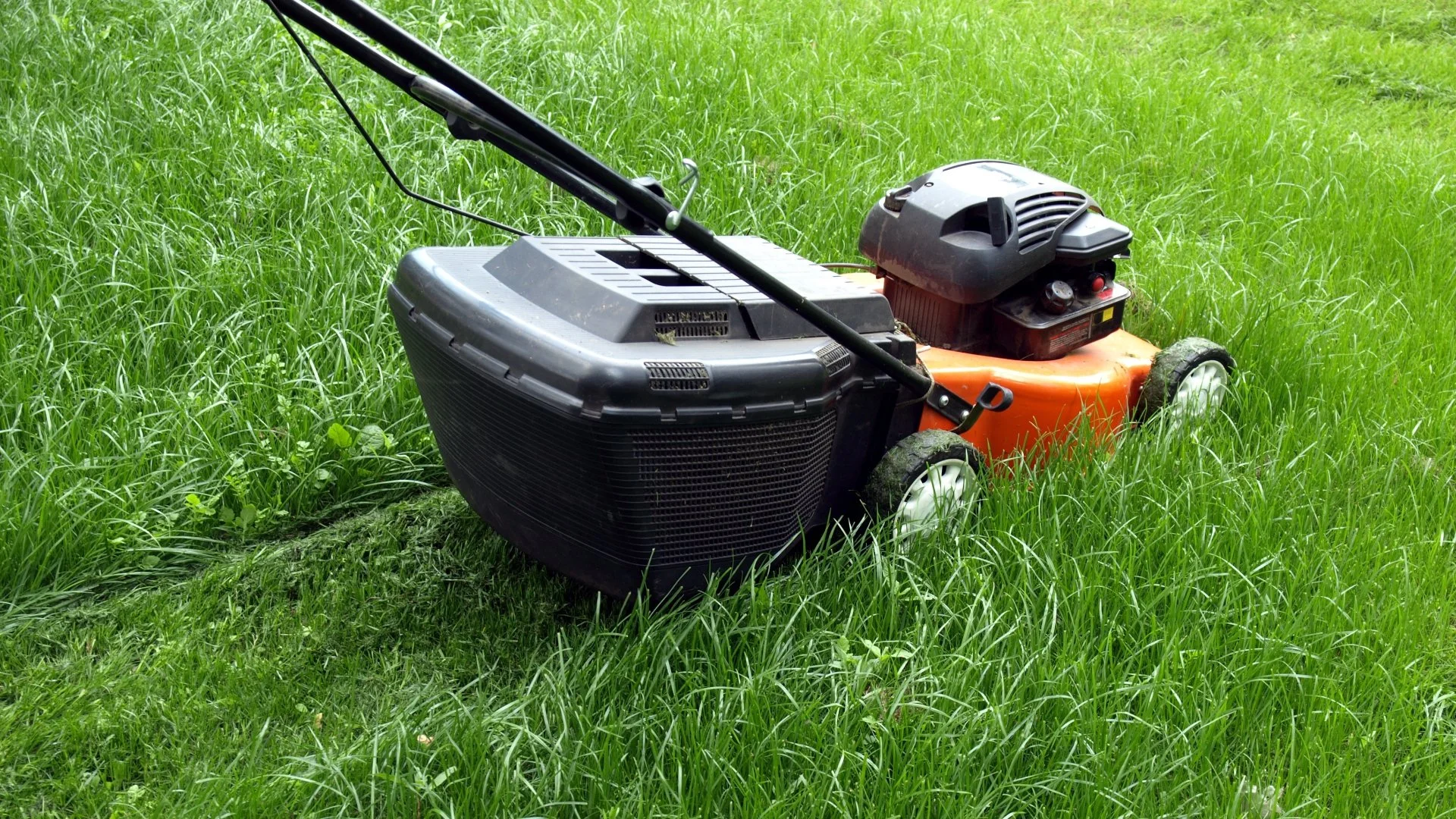 Are You Making These Mistakes When Mowing Your Lawn?