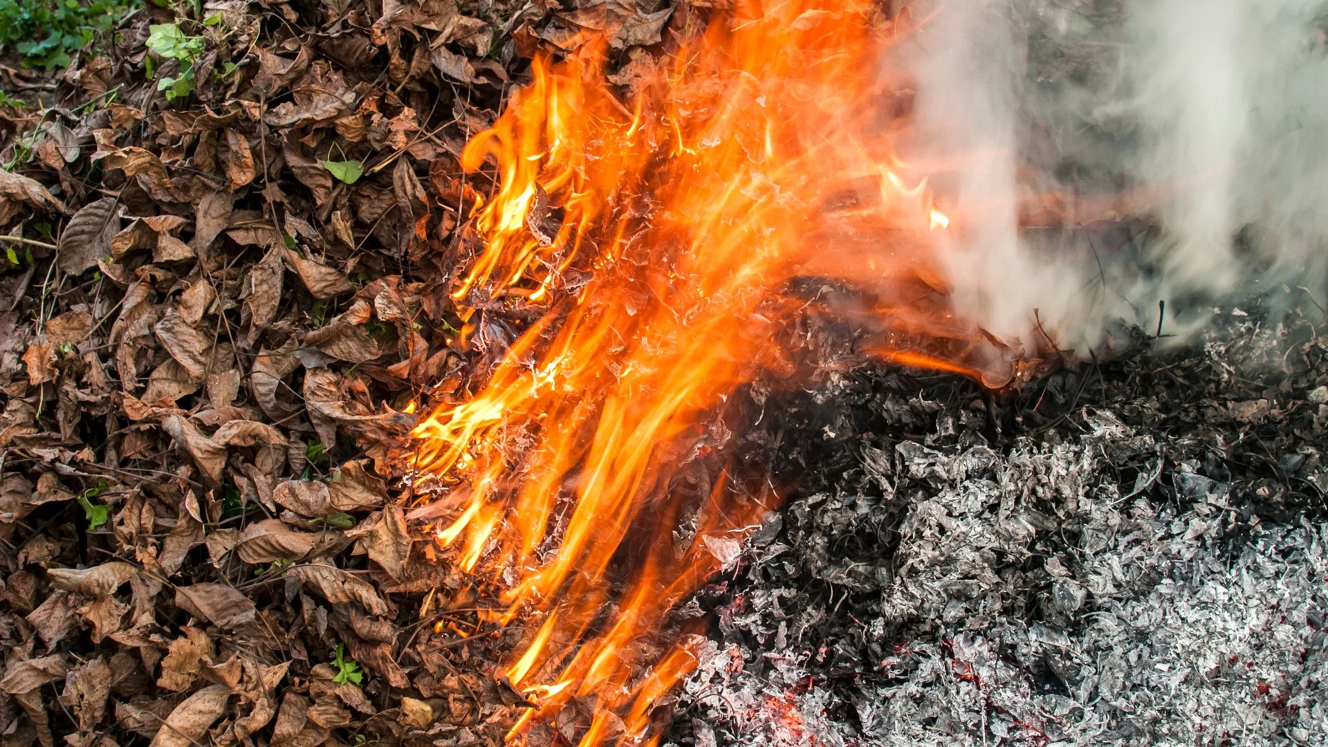 Should You Burn Leaf Piles on Your Lawn in Plano, TX?
