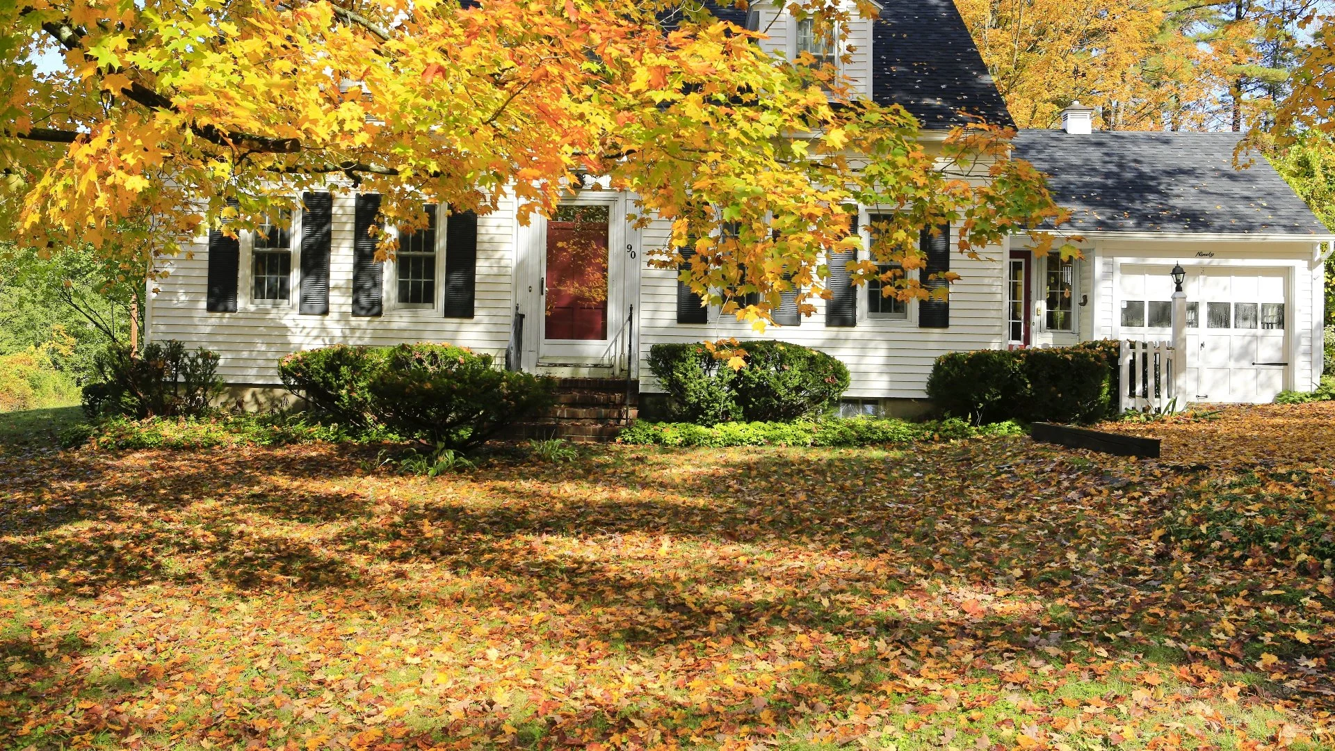 Is It Bad to Remove the Leaves From Your Lawn?
