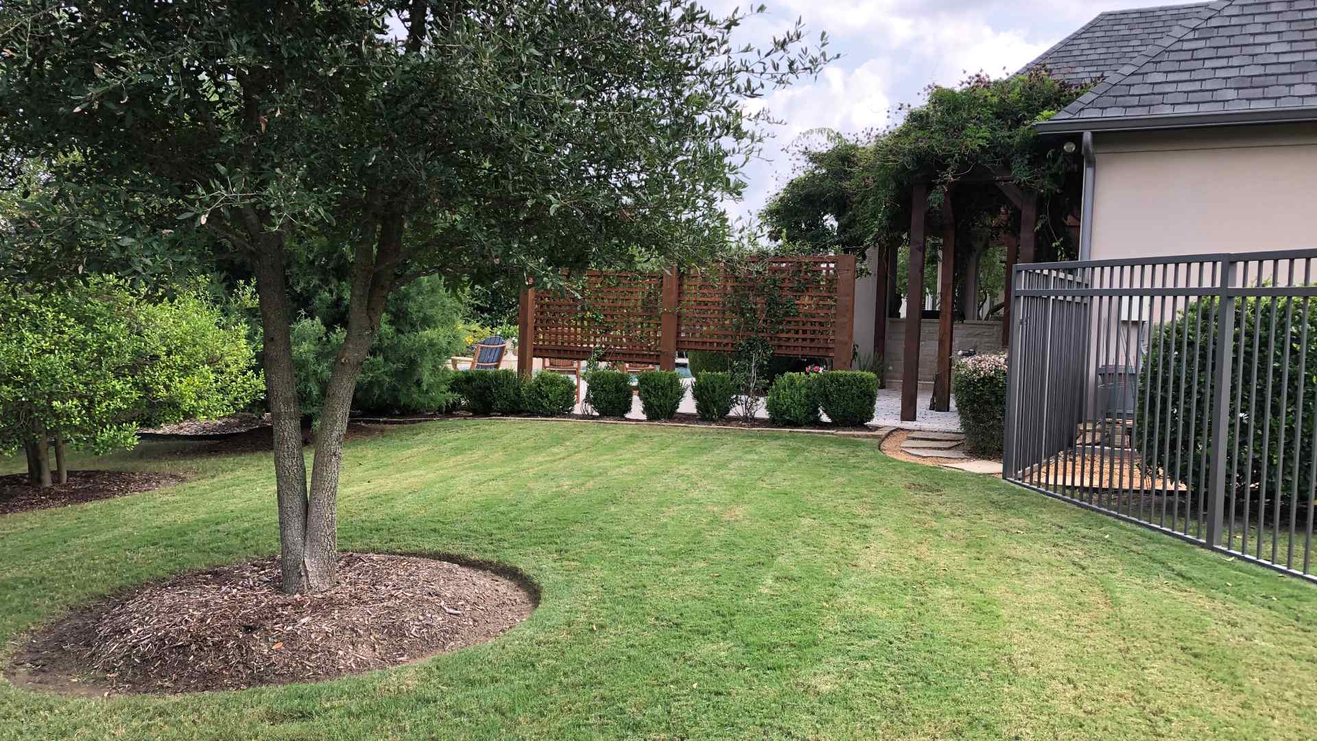 Maintained lawn freshly mowed by professionals in The Colony, TX.