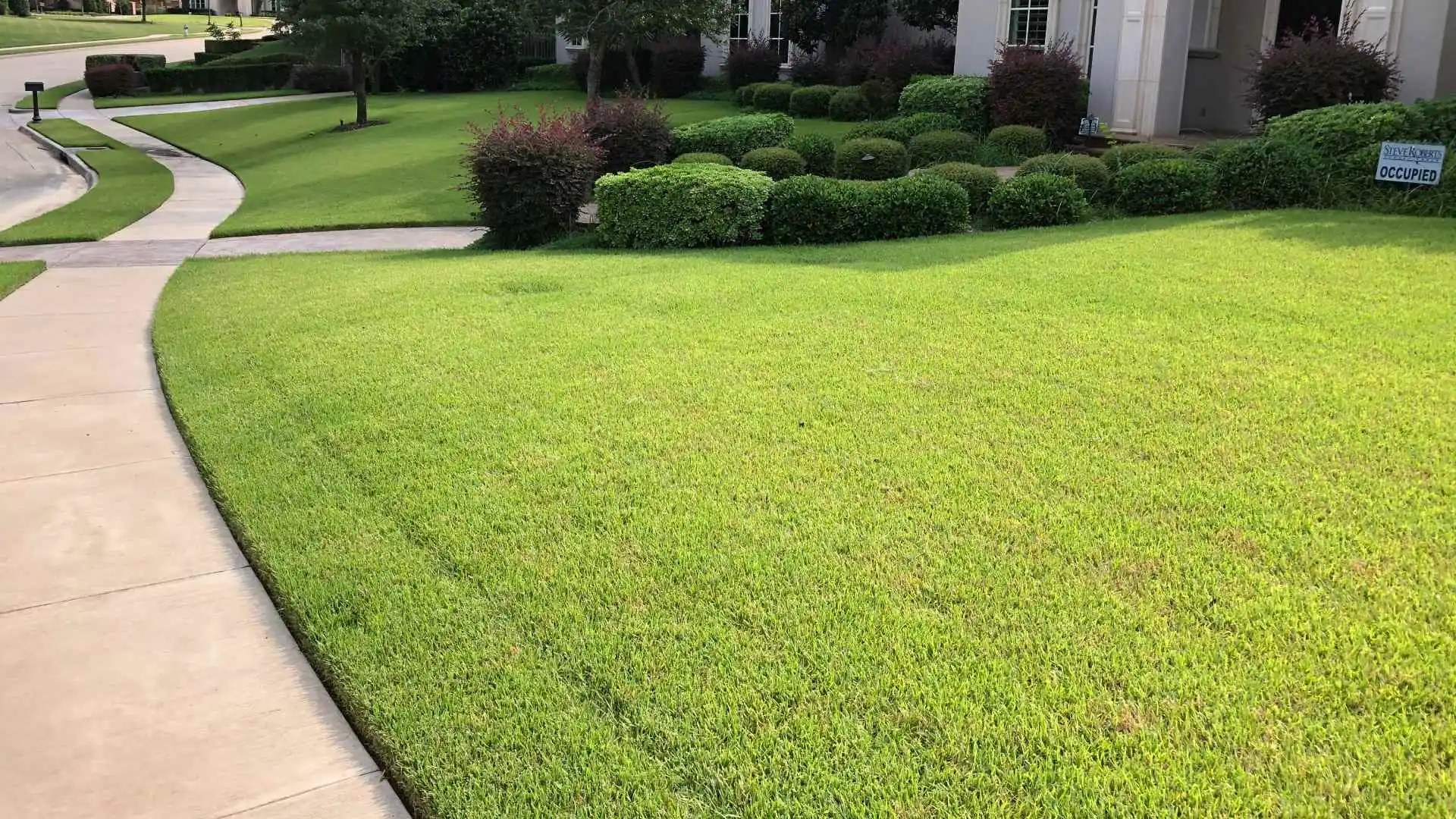 A healthy and maintained lawn in Frisco, TX.