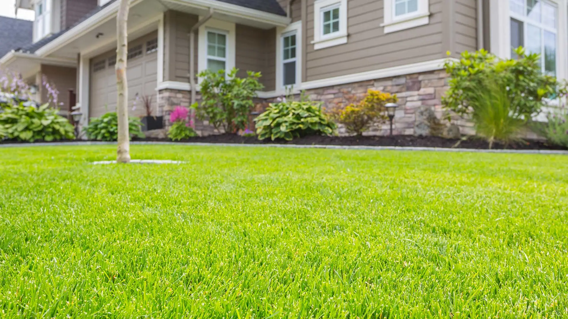 Maintained lawn after services performed in Richardson, TX.