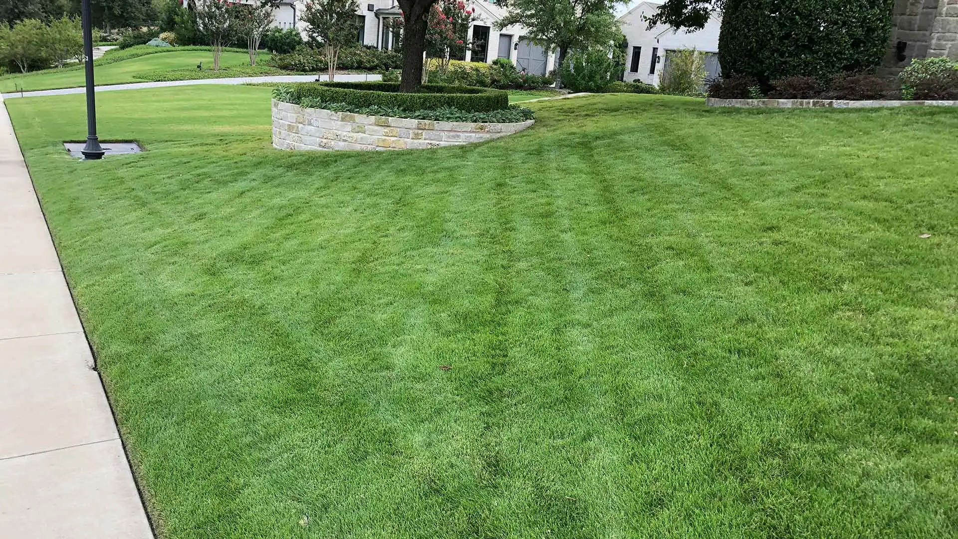 Mowed lawn with a retaining wall in the middle of property in Lucas, TX.