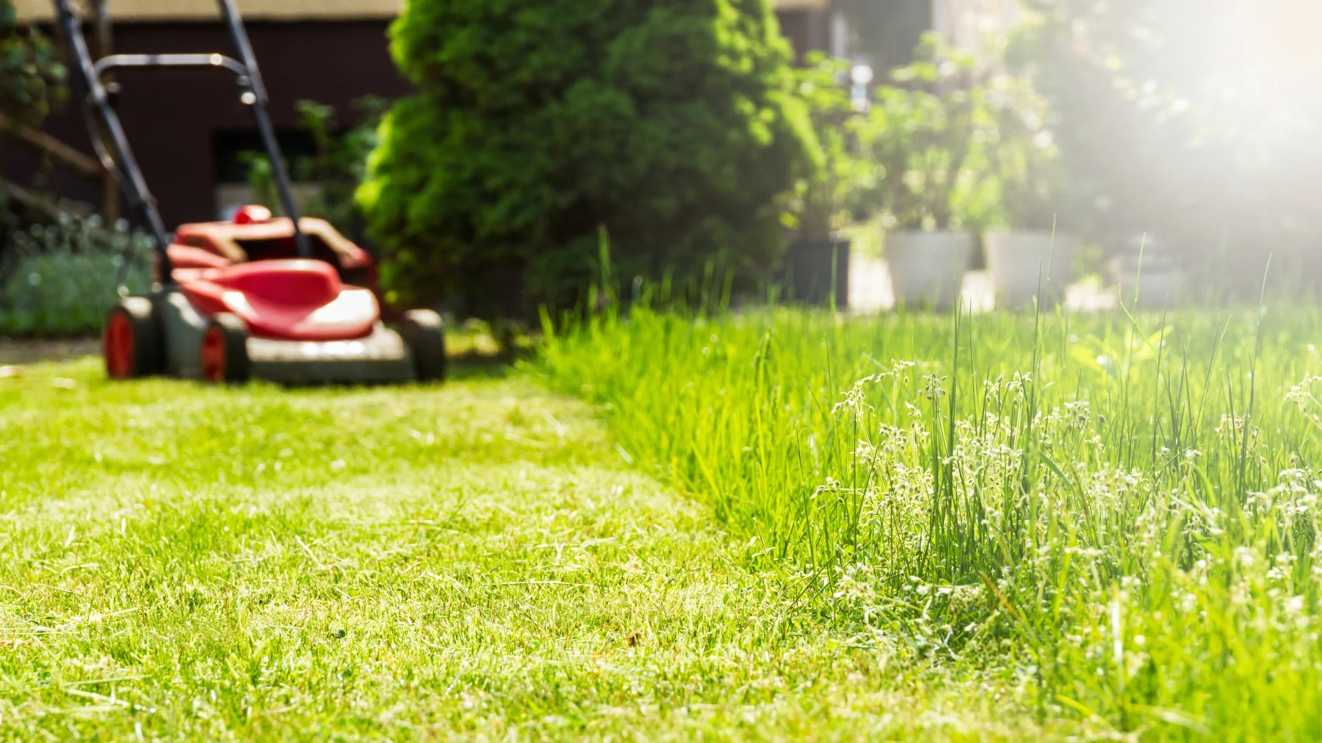 The Ideal Mowing Schedule for Lawns in Texas