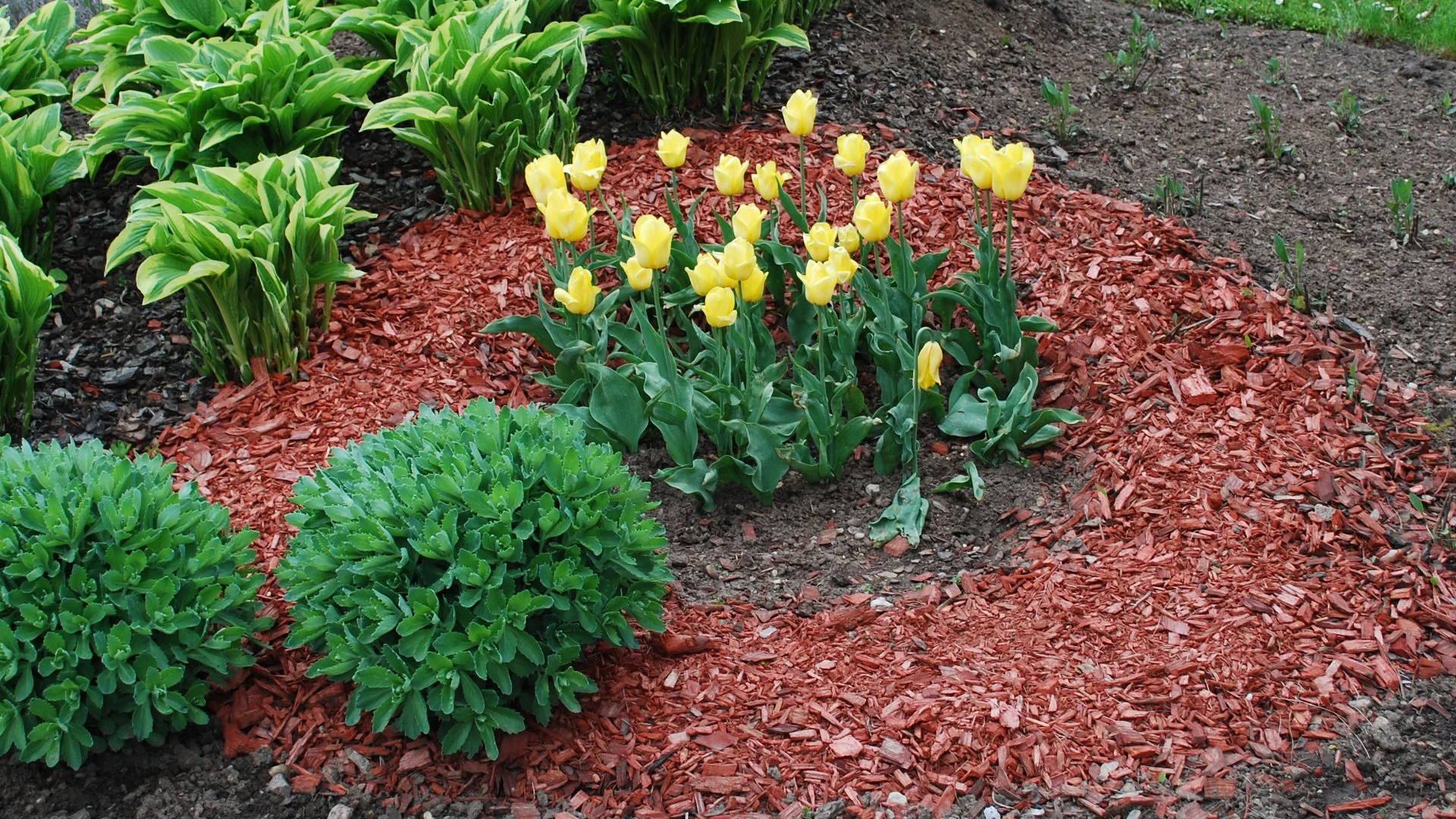How Long Does Mulch Last in Landscape Beds?