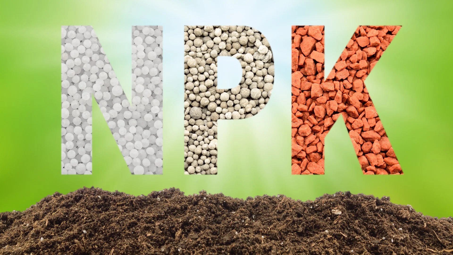 NPK - What It Stands for & Why These Nutrients Are in Lawn Fertilizers