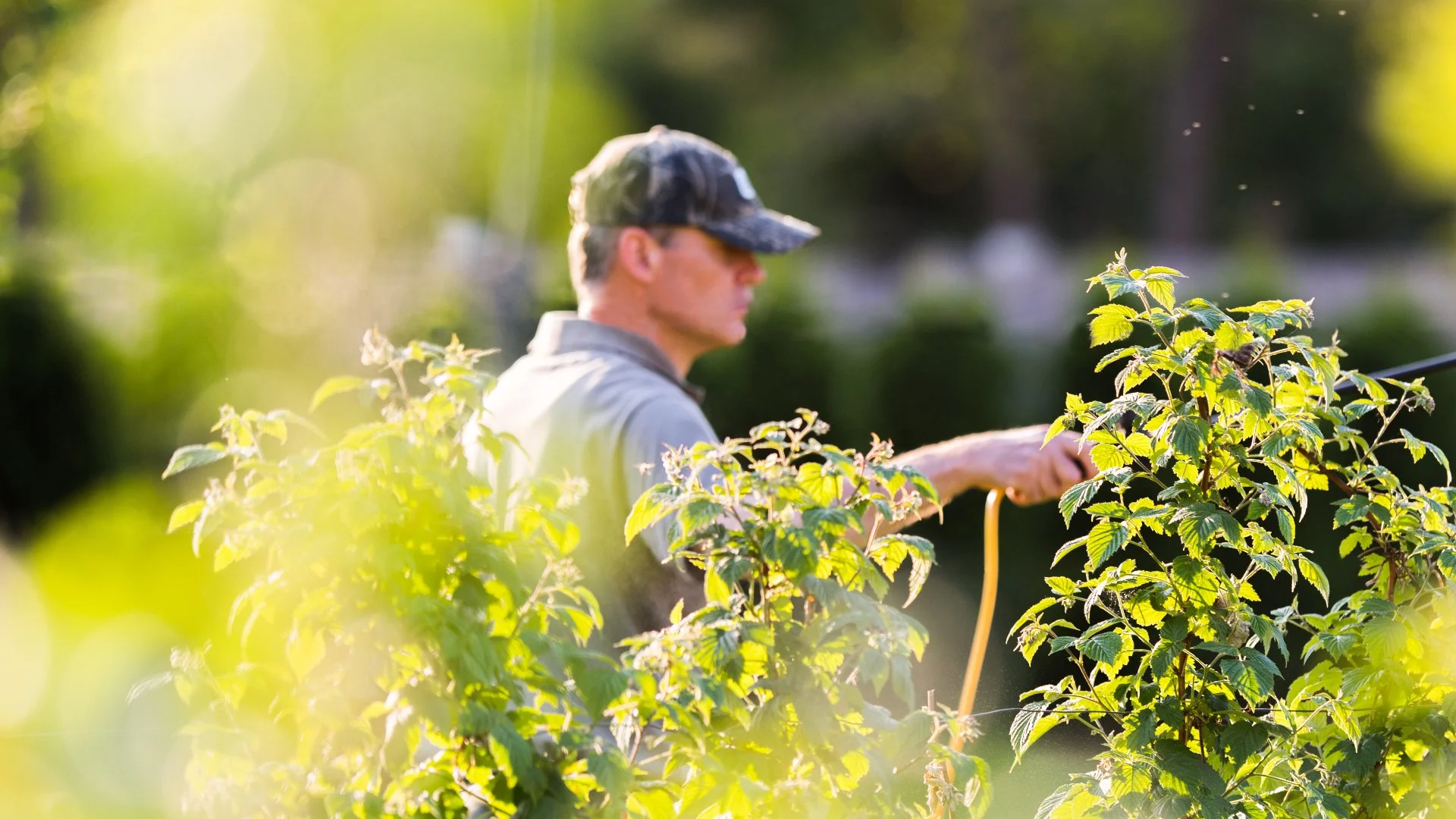 Don't Know What's Wrong With Your Plants? Call in the Pros!