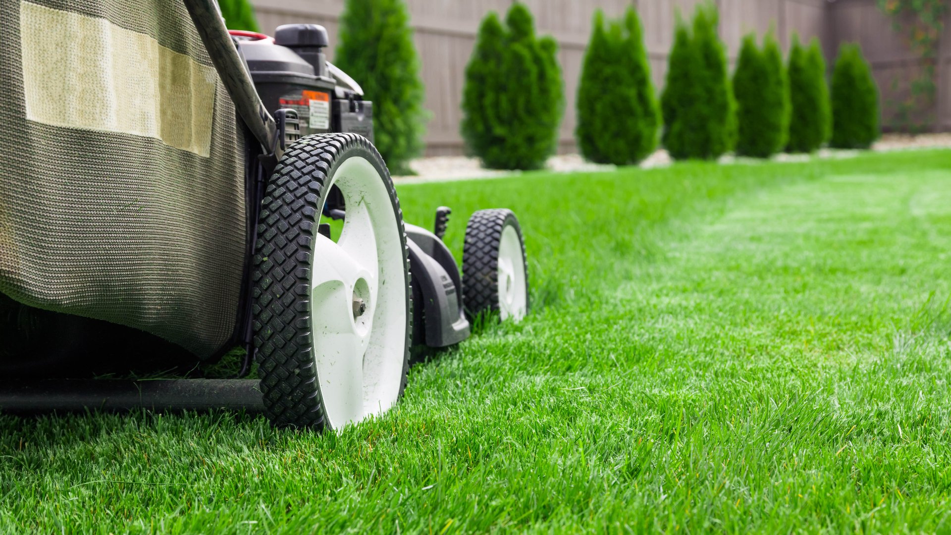 Mulching vs Bagging - What Should I Do With the Grass Clippings After Mowing?
