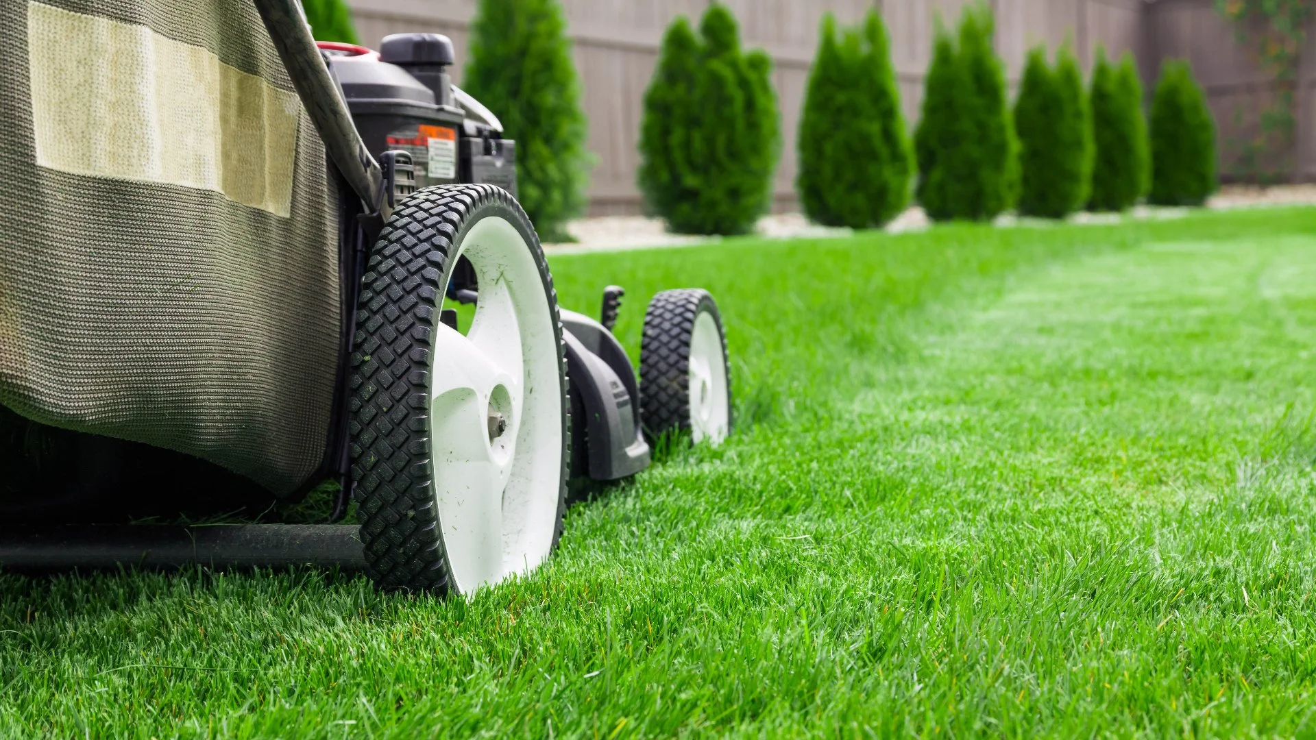 Mulching vs Bagging - What Should I Do With the Grass Clippings After Mowing?