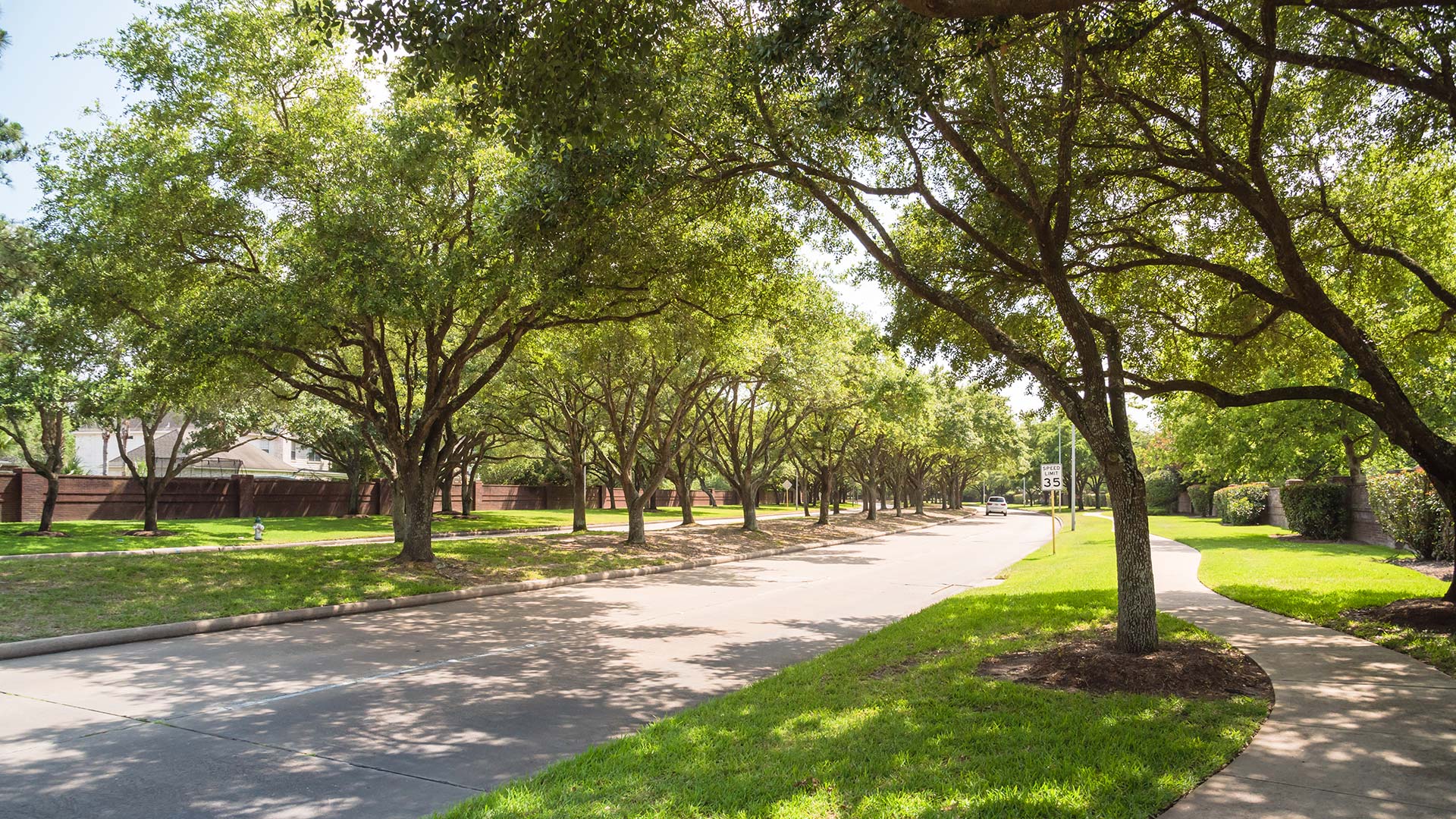 A road lined with trees in a popular area in Wylie, TX. 