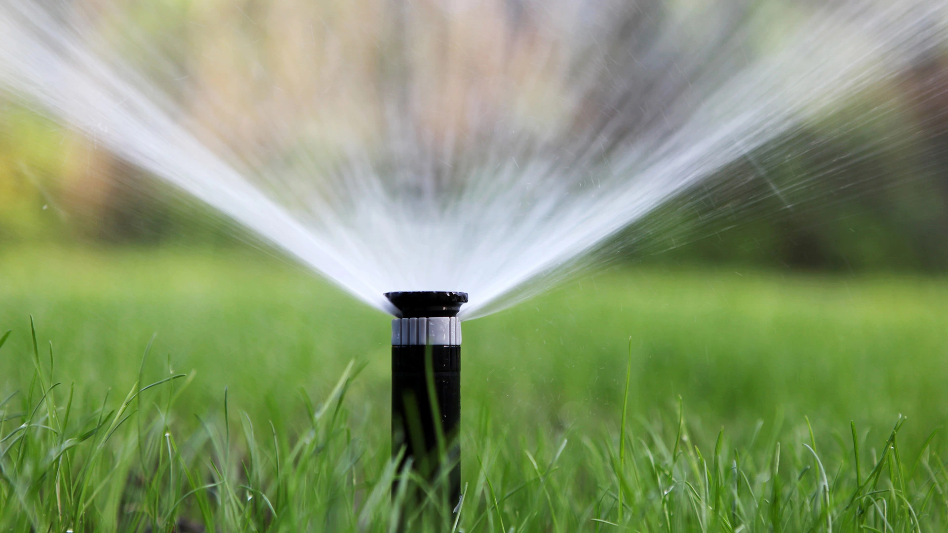 Sprinkler watering a lawn in Parker, TX.