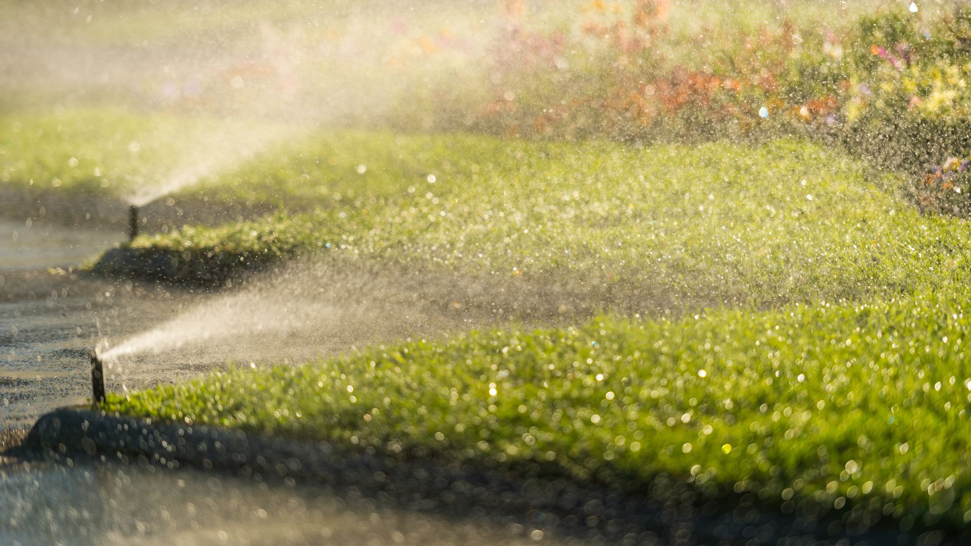 Sprinkler system watering lawn in Sachse, TX.