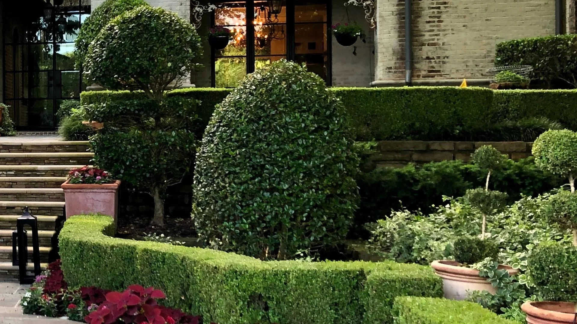 A Breakdown of How Pruning Helps Your Plants Grow Strong & Healthy