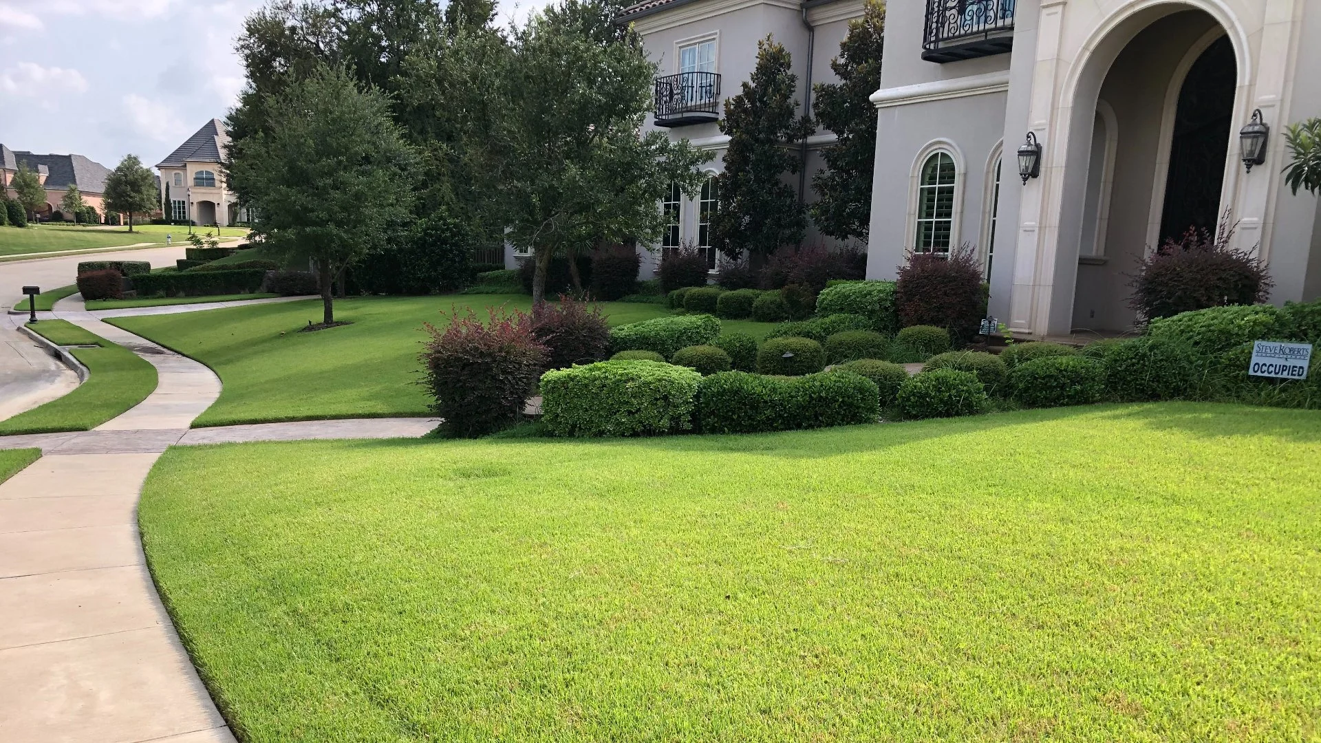 Are Weed Control Treatments in the Fall Worth It for Lawns in Texas?