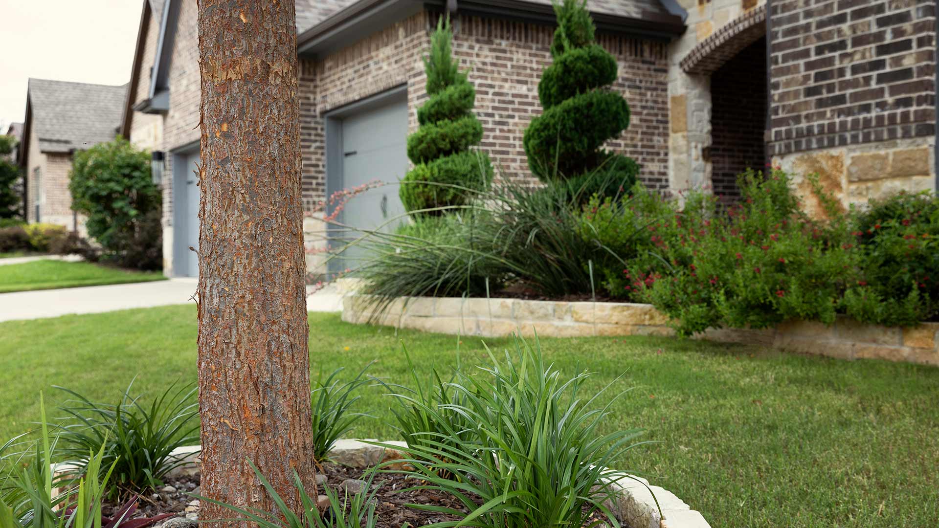 Plano, TX yard with regular lawn and landscape maintenance.