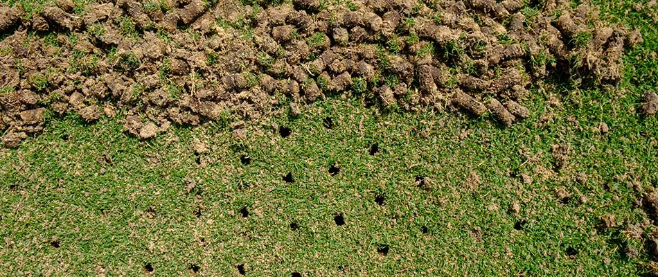 Aerated lawn with holes and plugs near Garland, TX and surrounding communities.