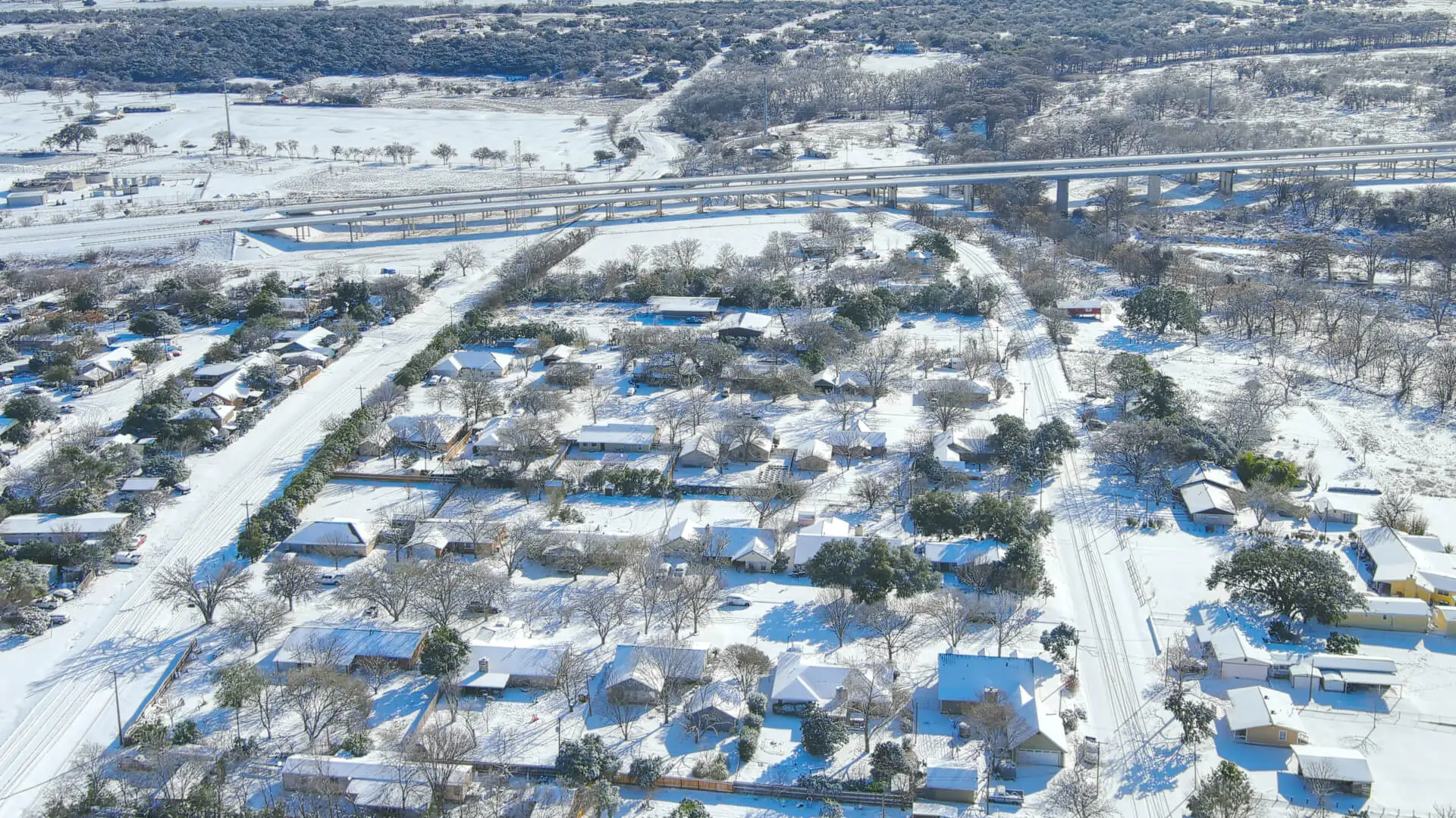 5 Ways to Help Your Plano Lawn Survive This Texas Winter