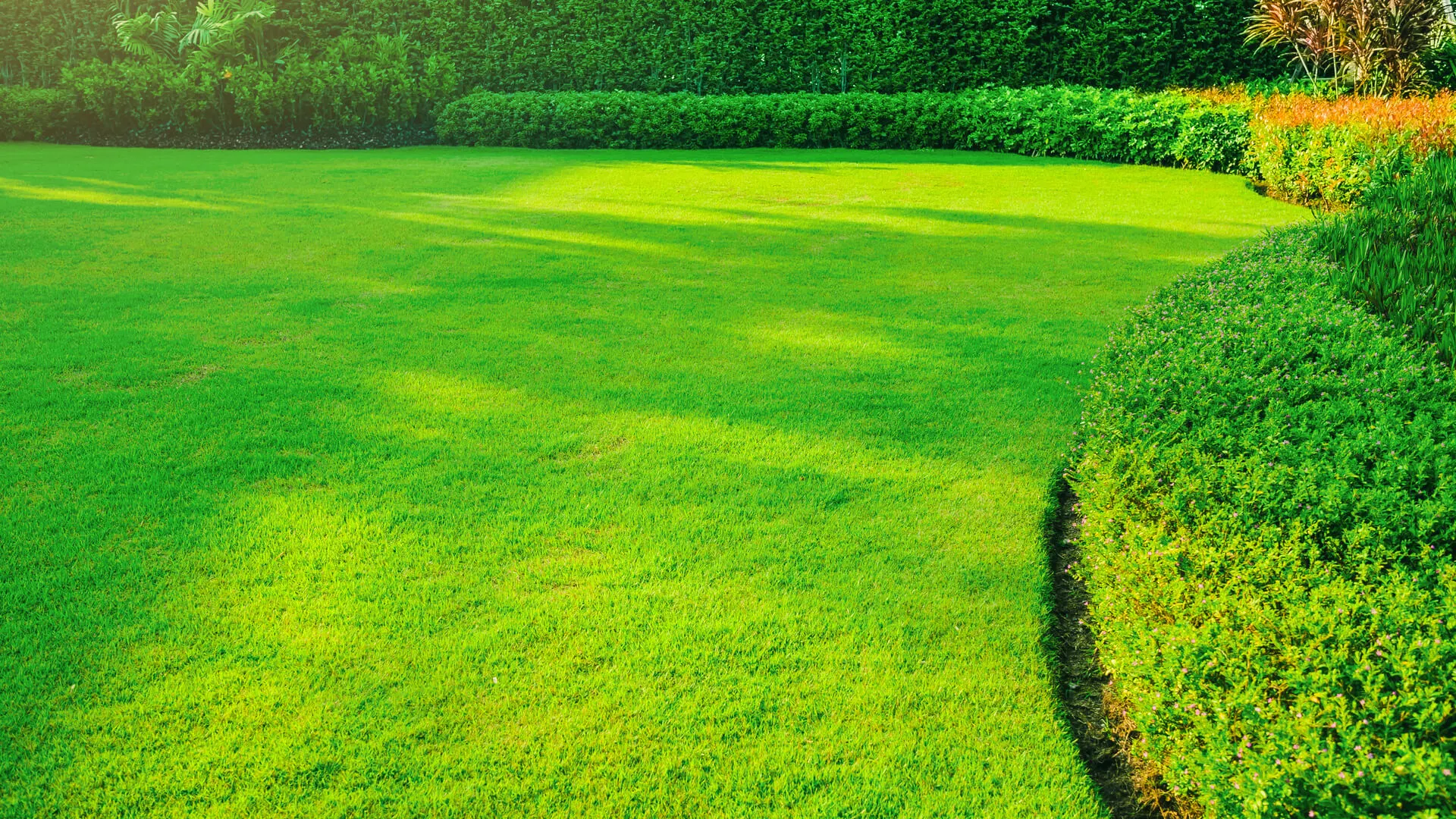 Best 5 Lawn Care Service Companies in Plano