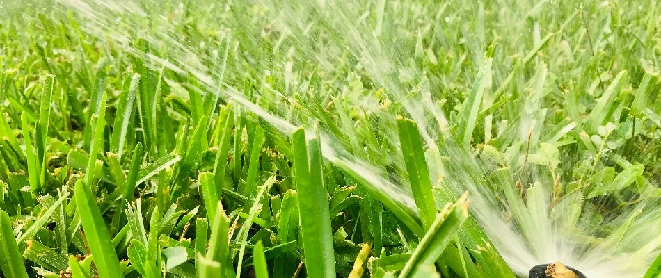 A healthy lawn in Plano, TX, being watered by an irrigation system.
