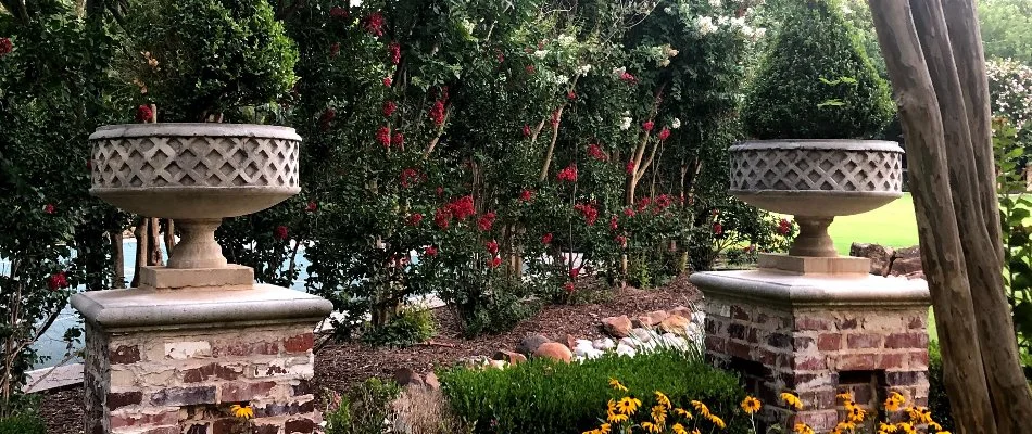 Hedges on a property in Plano, TX, with flowers.