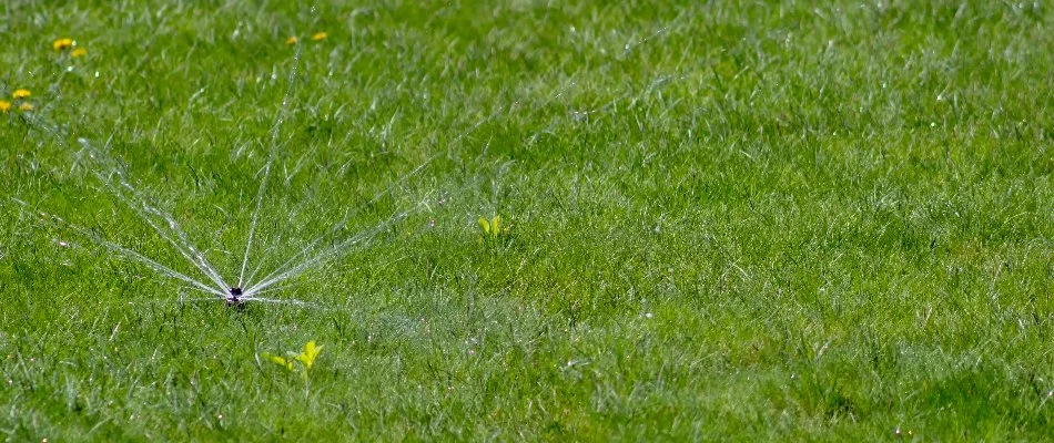 Running irrigation system on a lawn in Plano, TX.