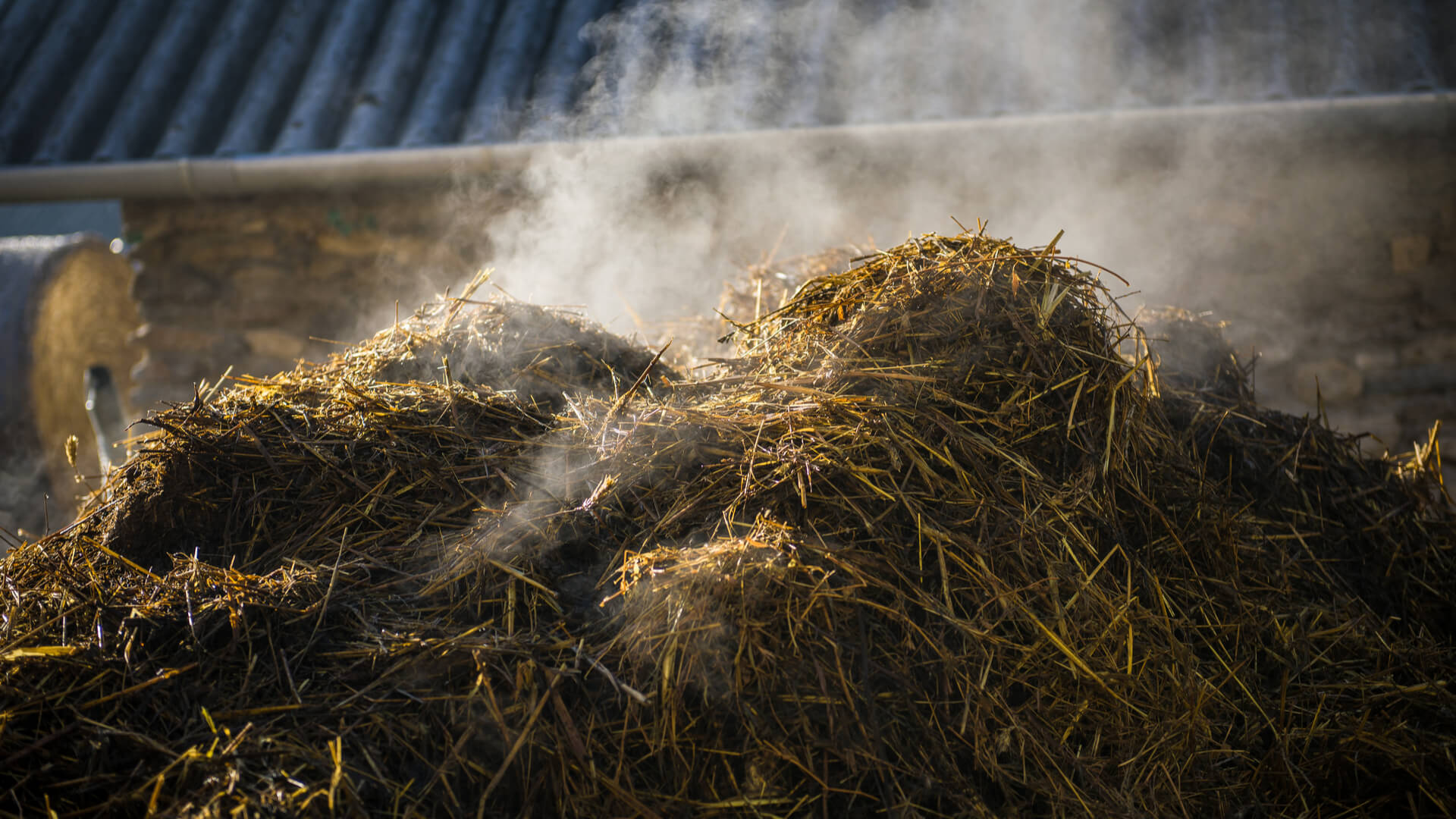 Caring for Winter Compost – Our Specialists in Lawn Care in Murphy TX Share their Tips