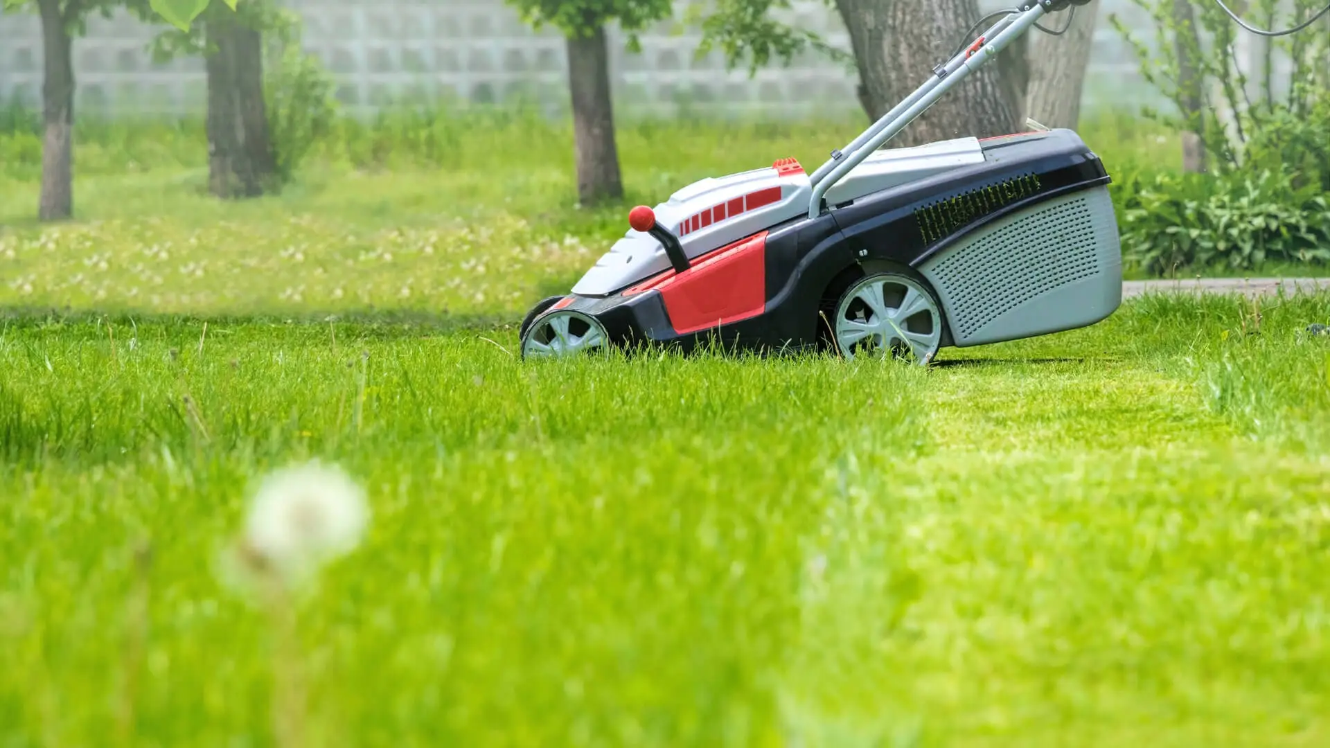 Eco-friendly Lawn Care, McKinney TX: A Few Affordable Tips