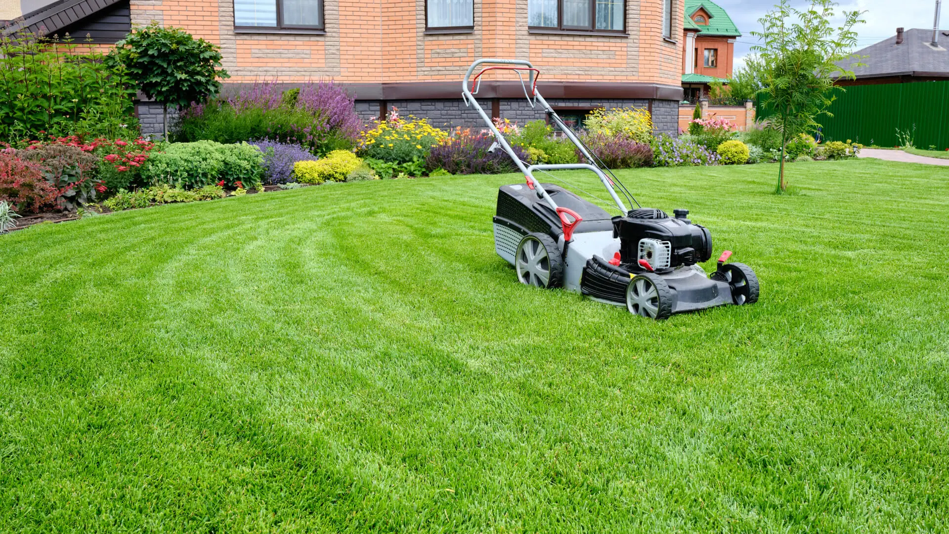 Lawn Care Plano, TX Experts on Early Summer Lawn Prevention and Care