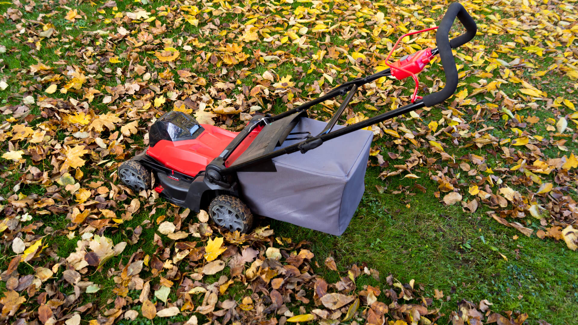 Lawn Service Wylie TX Pros on Early Fall Property Planning and Development