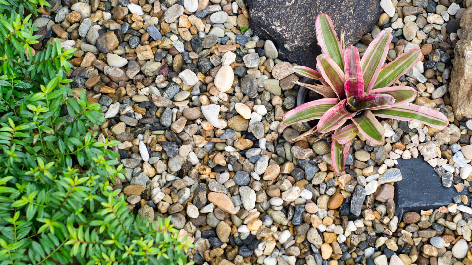 Pros and Cons on Less Known Mulches: Lawn Care Allen, TX Pros Share Their Tips