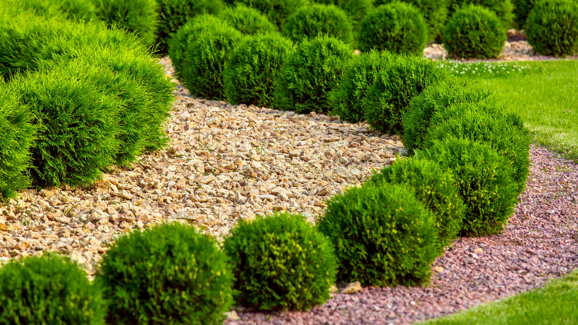Sustainable Lawn Care: Frisco, TX Experts Share Tips On Earth-Friendly Yard Maintenance