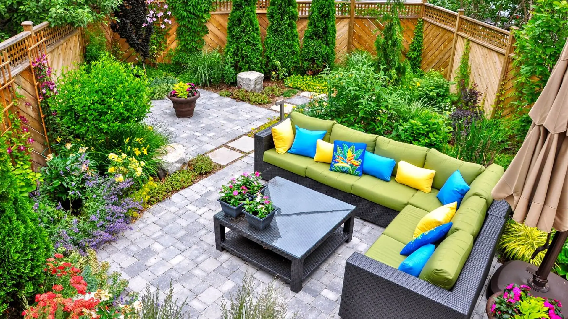 Young Gen Lawn Care Plano TX Trends for 2019