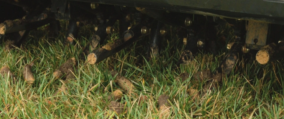 Aerator machine with core plugs in lawn in Plano, TX.