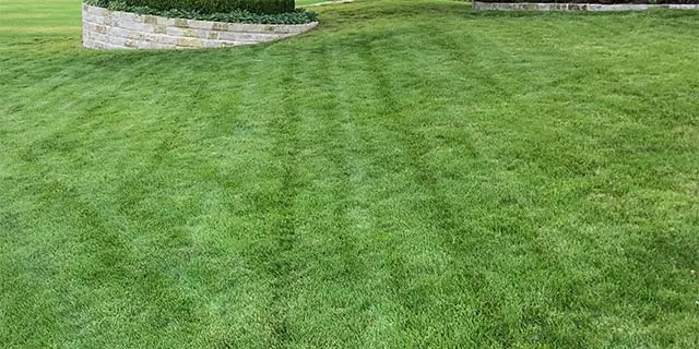 Allen, TX lawn with regular lawn care services.