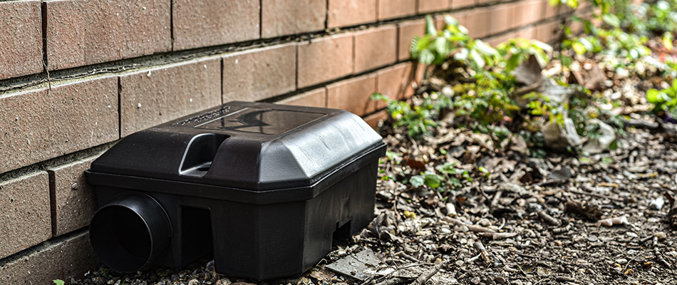 Bait trap placed on side of a property in Allen, TX.